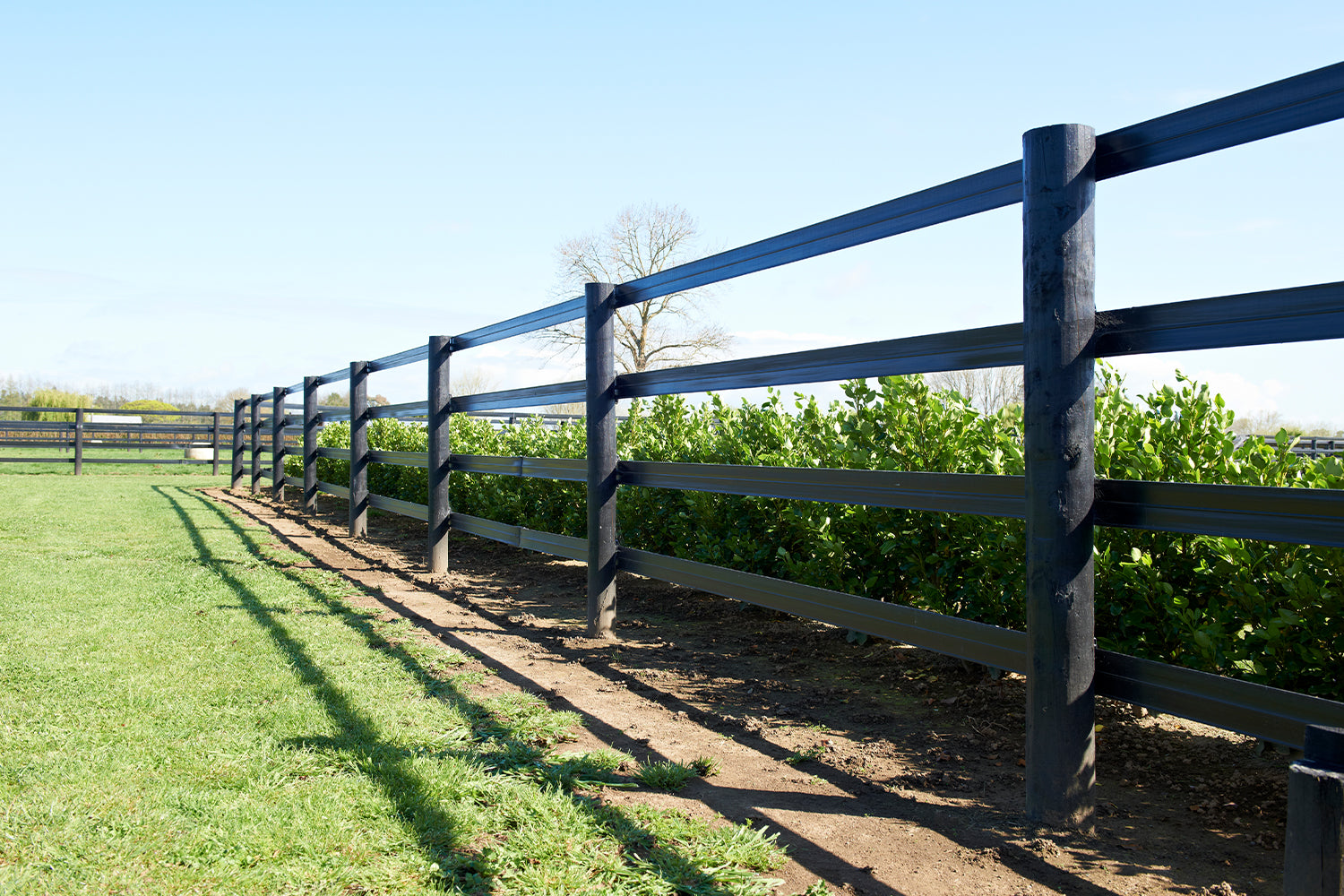 Horserail® Fencing