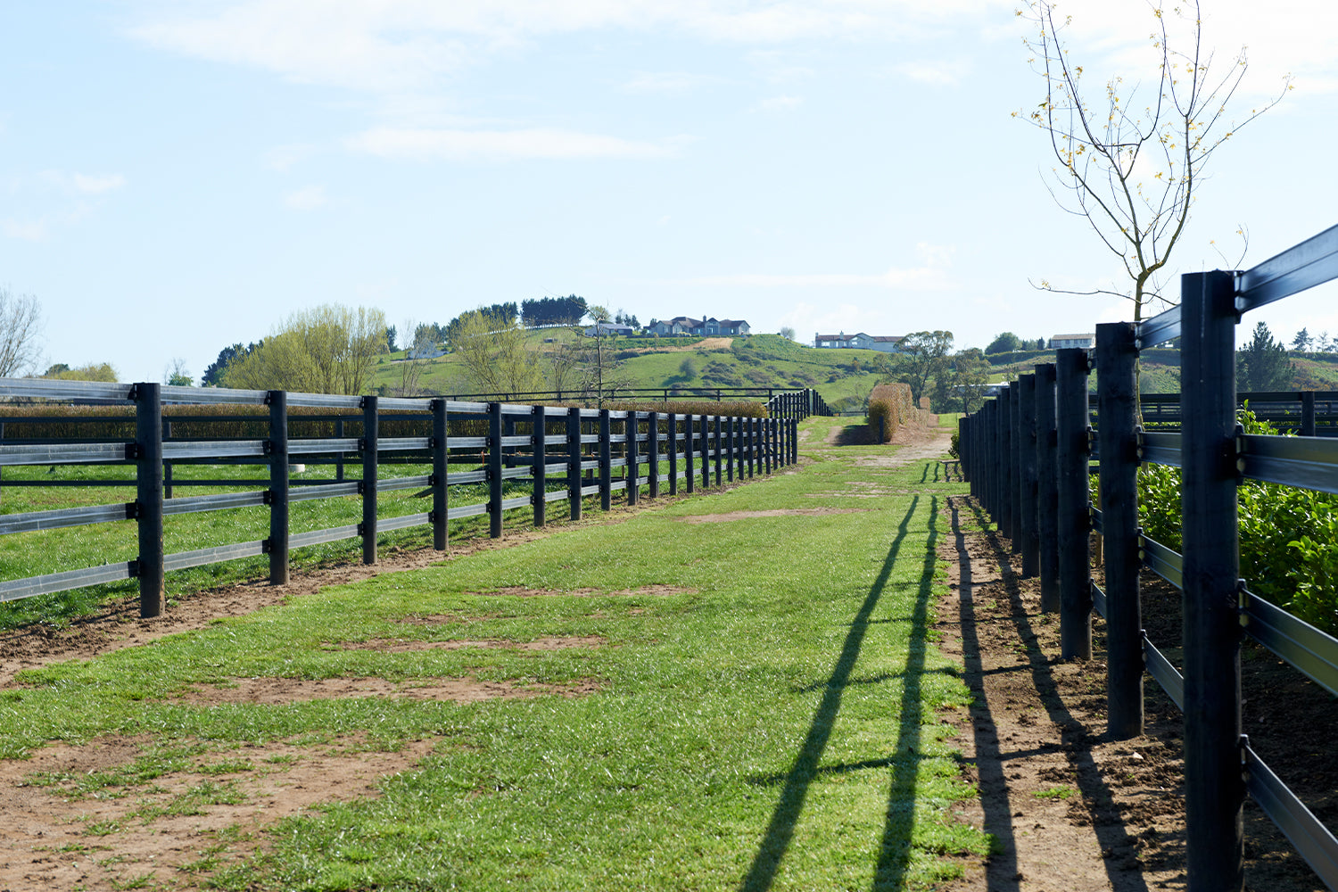 Horserail® Fencing